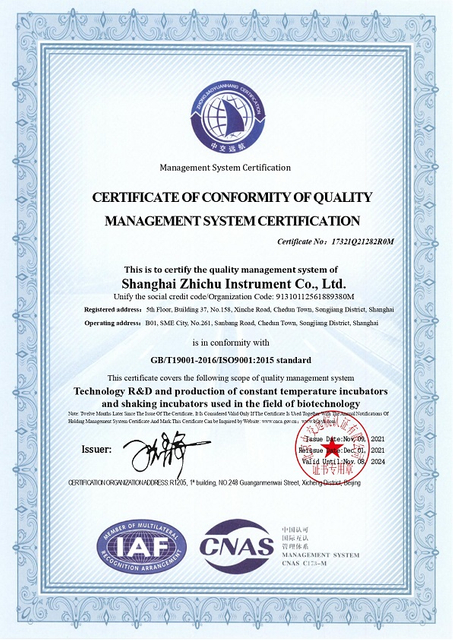 ISO9001认证-2021年英文_page-0001